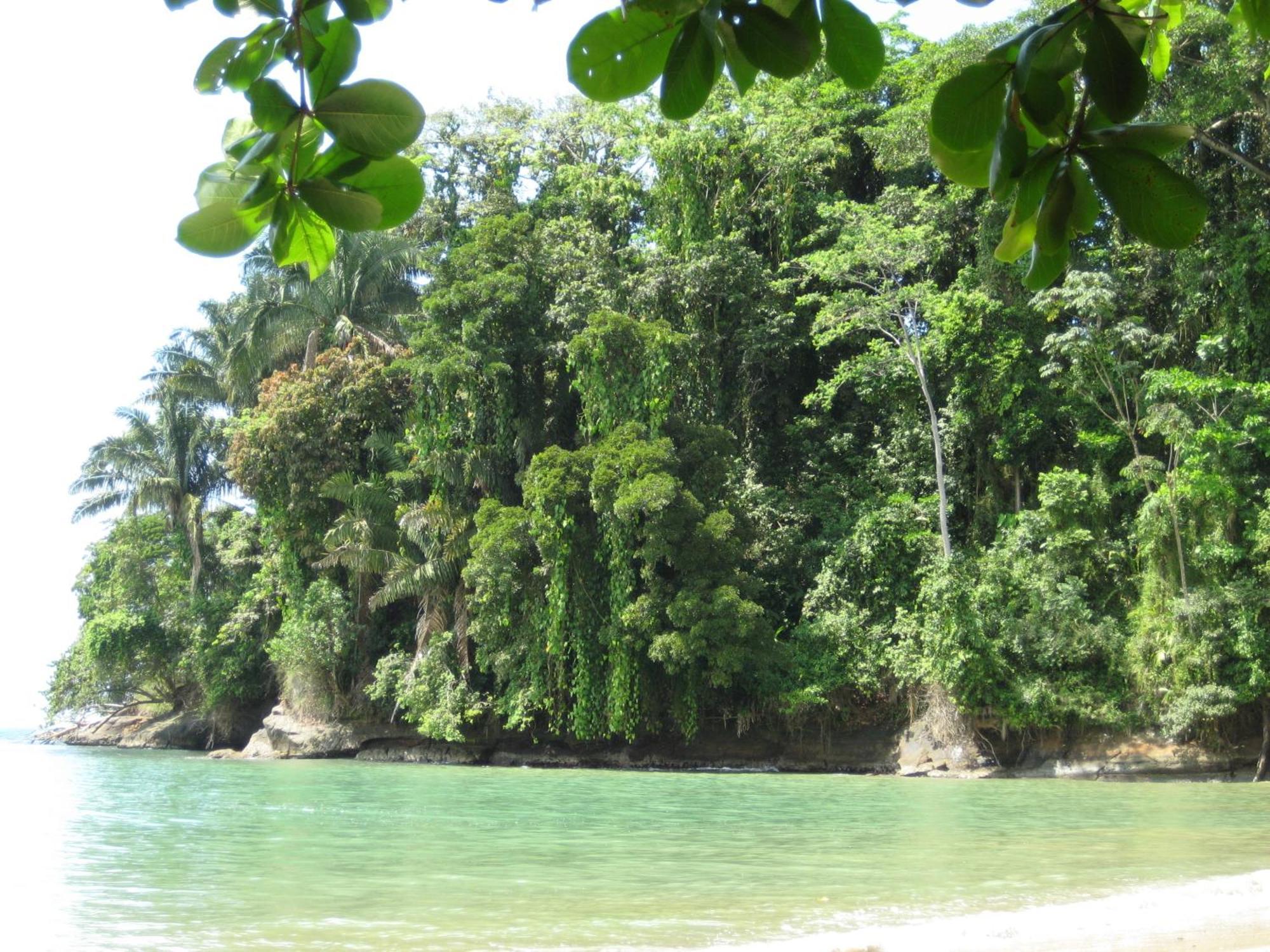 El Tucan Jungle Lodge Puerto Viejo de Talamanca Luaran gambar