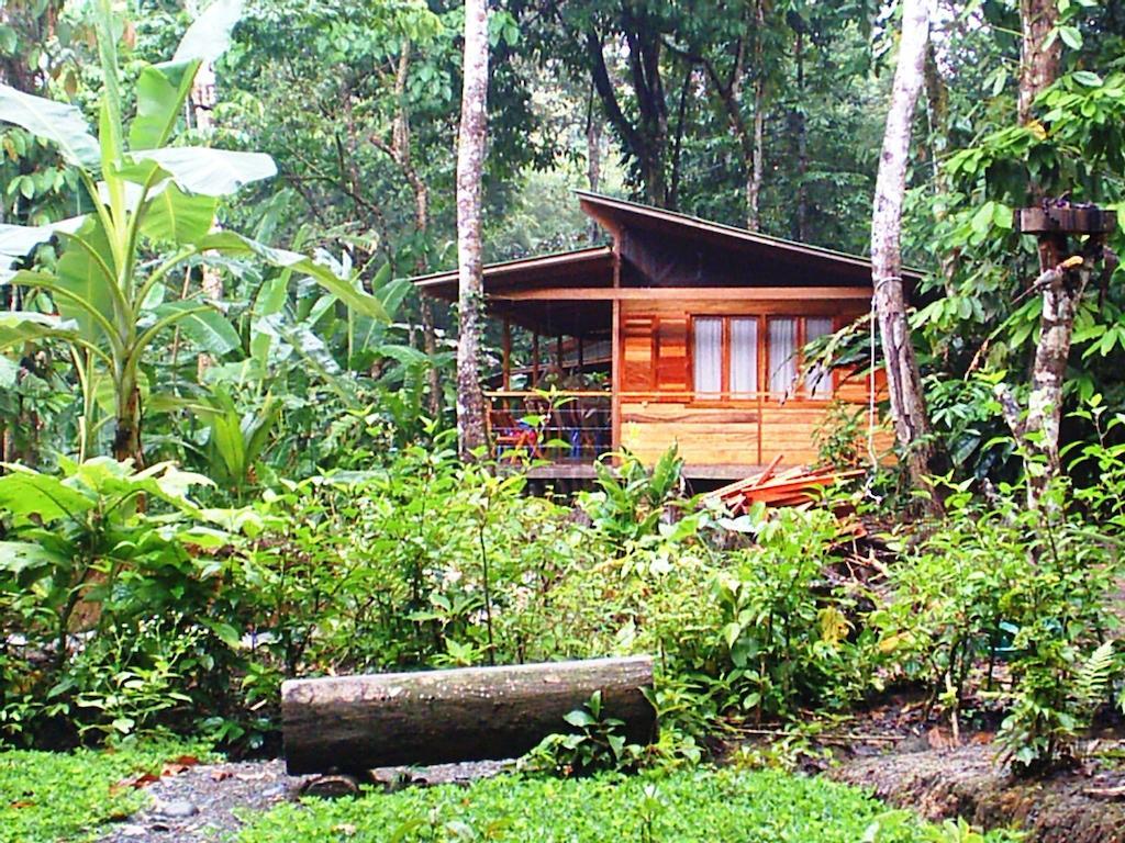 El Tucan Jungle Lodge Puerto Viejo de Talamanca Luaran gambar