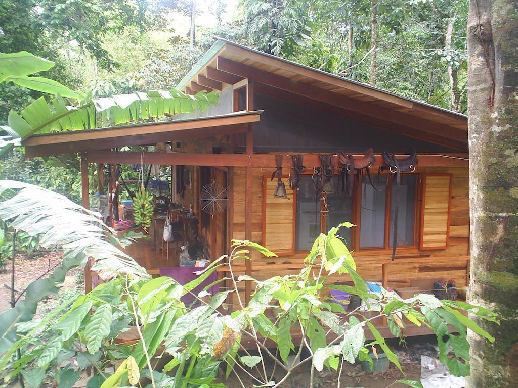 El Tucan Jungle Lodge Puerto Viejo de Talamanca Bilik gambar