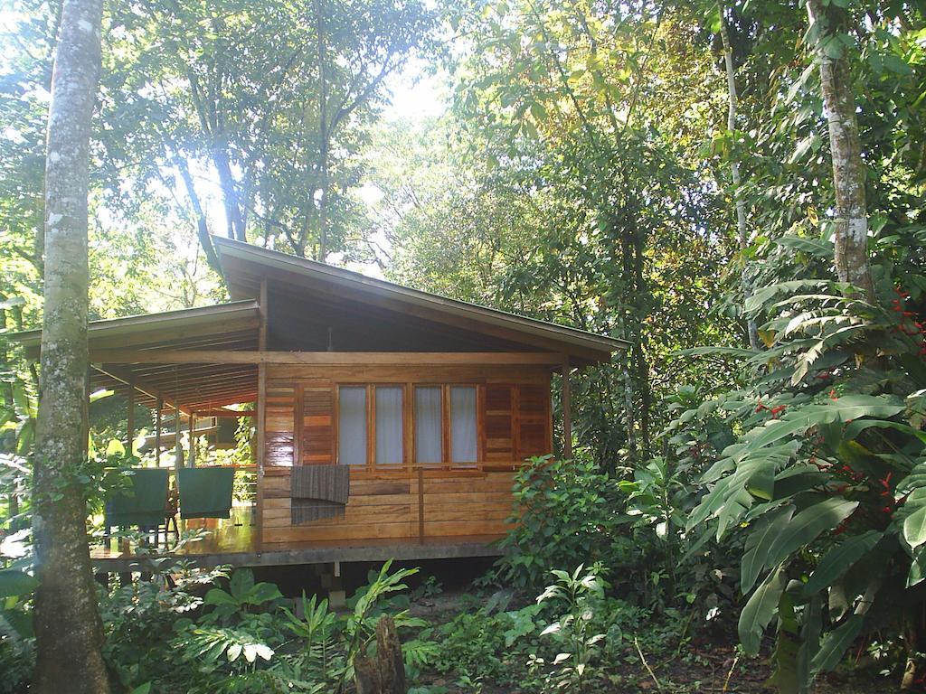 El Tucan Jungle Lodge Puerto Viejo de Talamanca Bilik gambar