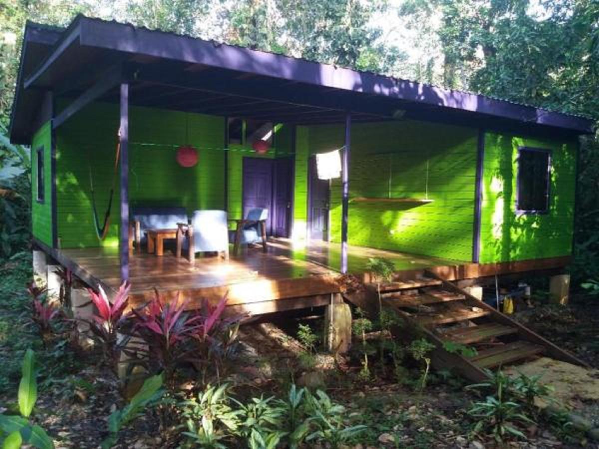 El Tucan Jungle Lodge Puerto Viejo de Talamanca Luaran gambar