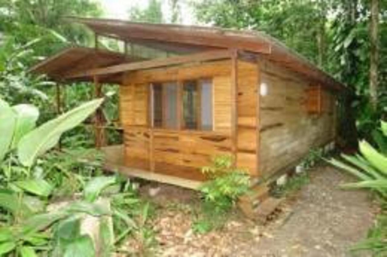 El Tucan Jungle Lodge Puerto Viejo de Talamanca Luaran gambar