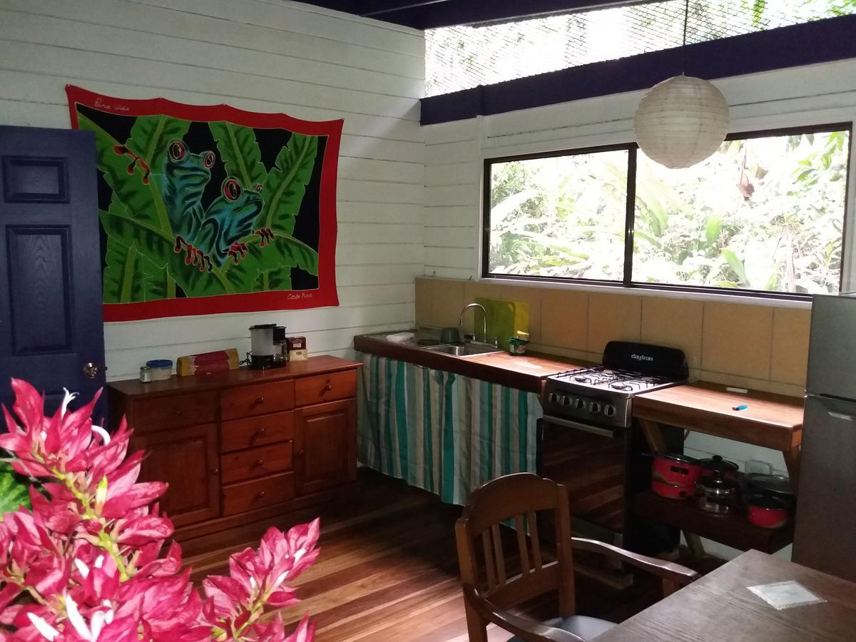 El Tucan Jungle Lodge Puerto Viejo de Talamanca Luaran gambar